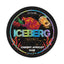 Iceberg