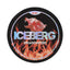 Iceberg