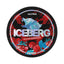Iceberg