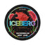 Iceberg
